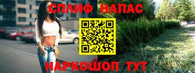 прущие крисы Новодвинск